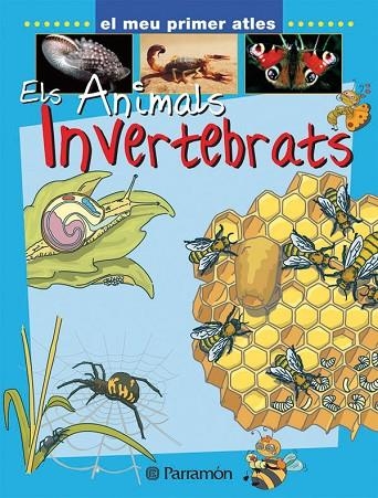 ANIMALS INVERTEBRATS | 9788434227149 | MARCET, XAVIER