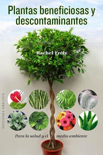 PLANTAS BENEFICIOSAS Y DESCONTAMINANTES PARA LA SALUD Y EL MEDIO AMBIENTE | 9788497779319 | FRELY,RACHEL