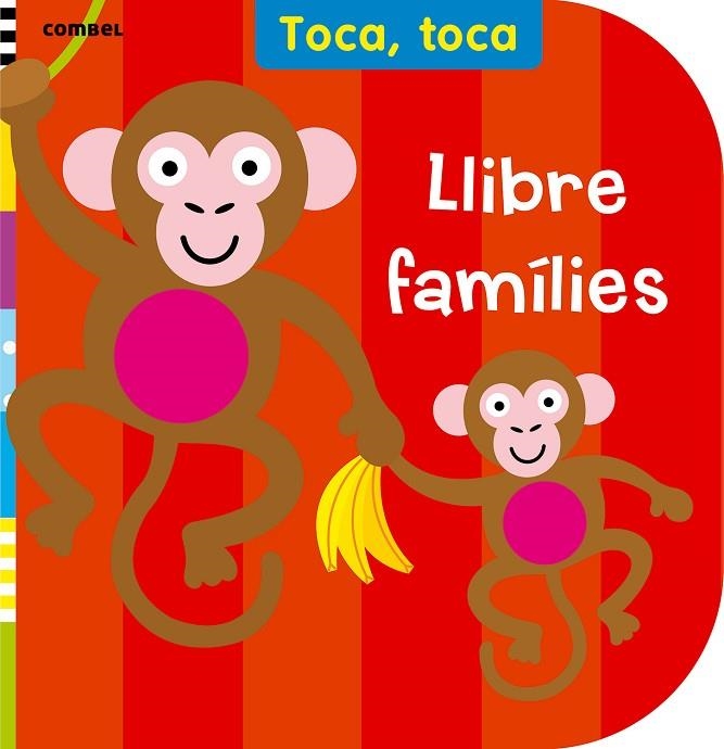 LLIBRE FAMILIES | 9788498258721