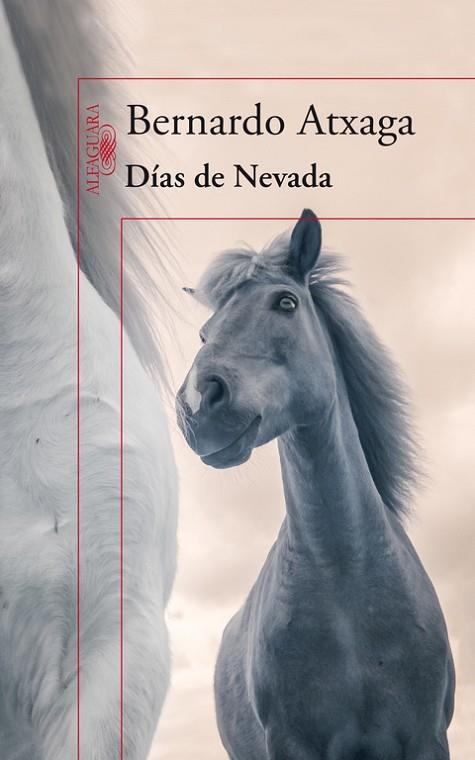 DIAS DE NEVADA | 9788420415987 | ATXAGA,BERNARDO