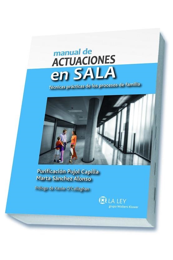 MANUAL DE ACTUACIONES EN SALA. TECNICAS PRACTICAS DE LOS PROCESOS DE FAMILIA | 9788490201930 | PUJOL CAPILLA,PURIFICACION SANCHEZ ALONSO,MARTA