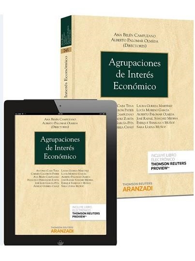 AGRUPACIONES DE INTERES ECONOMICO | 9788490596074 | PALOMAR OLMEDA,ALBERTO BELEN CAMPUZANO,ANA