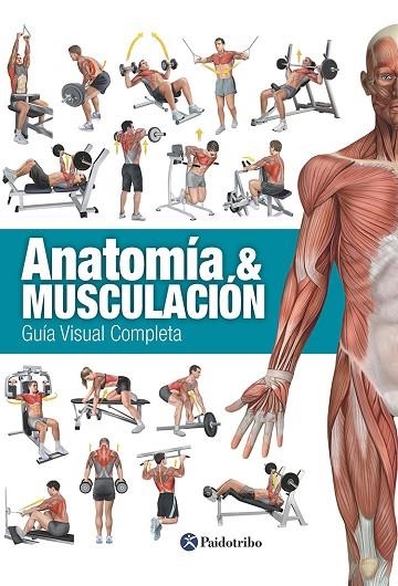 ANATOMIA Y MUSCULACION. GUIA VISUAL COMPLETA | 9788499104911 | CANOVAS,RICARDO