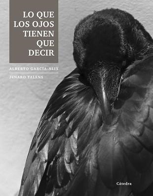 LO QUE LOS OJOS TIENEN QUE DECIR | 9788437633251 | TALENS,JENARO GARCIA-ALIX,ALBERTO