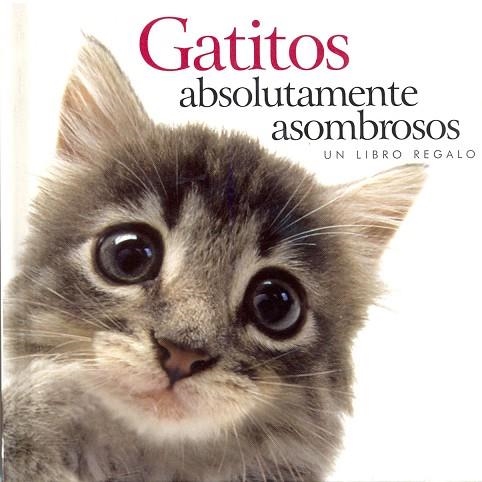 GATITOS ABSOLUTAMENTE ASOMBROSOS. UN LIBRO REGALO | 9781846341908 | EXLEY, HELEN