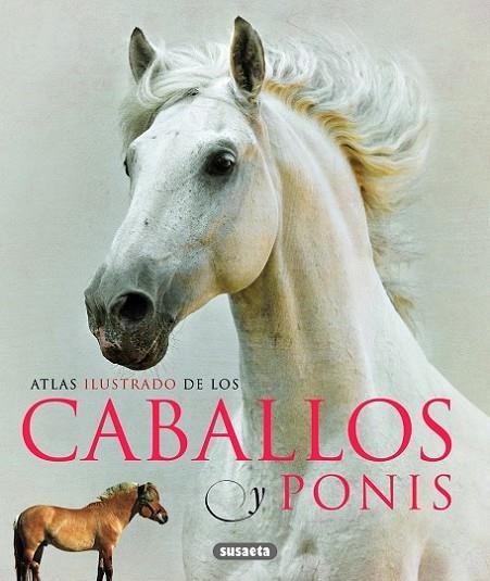 ATLAS ILUSTRADO DE LOS CABALLOS Y PONIS | 9788467713053 | LABAN, BRIAN