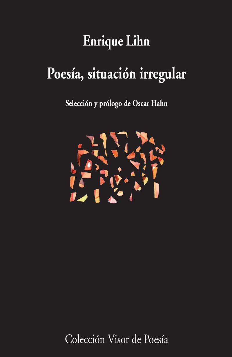 POESIA SITUACION IRREGULAR | 9788498958812 | LIHN,ENRIQUE