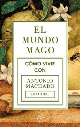 MUNDO MAGO COMO VIVIR CON ANTONIO MACHADO | 9788434422353 | MEDEL,ELENA