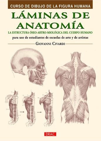 LAMINAS DE ANATOMIA. LA ESTRUCTURA OSEO-ARTRO-MIOLOGICA DEL CUERPO HUMANO PARA USO DE ESTUDIANTES DE ESCUELAS DE ARTE Y DE ARTISTAS | 9788498744798 | CIVARDI,GIOVANNI