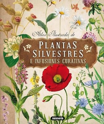 PLANTAS SILVESTRES E INFUSIONES CURATIVAS | 9788467722864 | TOMANOVÁ, ELISKA