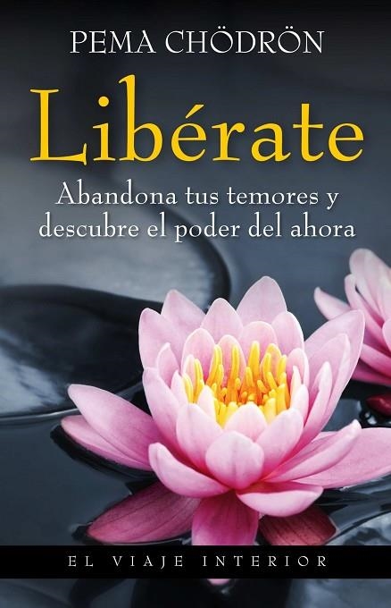 LIBERATE. ABANDONA TUS TEMORES Y DESCUBRE EL PODER DEL AHORA | 9788497545235 | CHODRON,PEMA