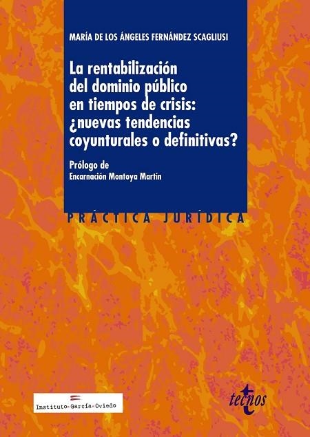 RENTABILIZACION DEL DOMINIO PUBLICO EN TIEMPOS DE CRISIS | 9788430966950 | FERNANDEZ SCAGLIUSI,Mª ANGELES