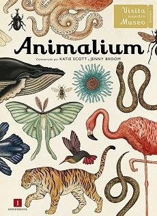 ANIMALIUM | 9788415979463 | SCOTT,KATIE BROOM,JENNY