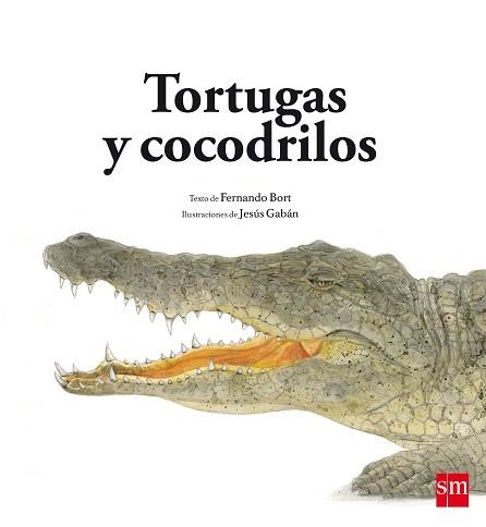 TORTUGAS Y COCODRILOS | 9788467582567 | BORT,FERNANDO