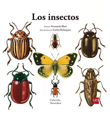 INSECTOS | 9788467577617 | VELAZQUEZ,CARLOS BORT,FERNANDO