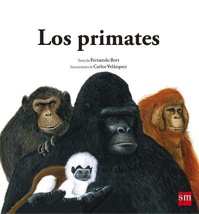 PRIMATES | 9788467573930 | VELAZQUEZ,CARLOS BORT,FERNANDO