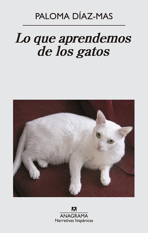 LO QUE APRENDEMOS DE LOS GATOS | 9788433997807 | DIAZ-MAS,PALOMA