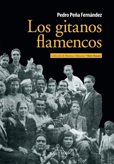 GITANOS FLAMENCOS | 9788415338956 | PEÑA FERNANDEZ,PEDRO