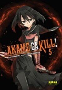 AKAMEGAKILL 5 | 9788467922318 | TAKAHIRO TASHIRO,TETSUYA