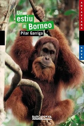 UN ESTIU A BORNEO | 9788448921071 | GARRIGA,PILAR