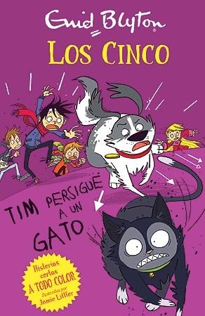 TIM PERSIGUE A UN GATO | 9788426142122 | BLYTON,ENID