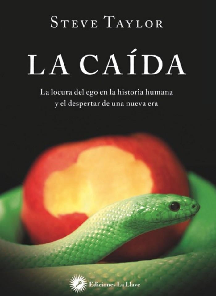 CAIDA. INDICIOS SOBRE LA EDAD DE ORO. LA HISTORIA DE SEIS MIL AÑOS DE LOCURA Y EL DESPERTAR DE UNA NUEVA ERA | 9788416145300 | TAYLOR,STEVE