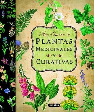 ATLAS ILUSTRADO DE PLANTAS MEDICINALES Y CURATIVAS | 9788467712575 | SUSAETA, EQUIPO