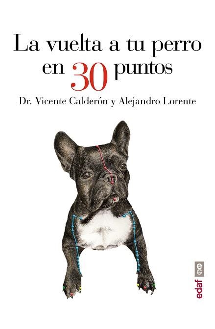 VUELTA A TU PERRO EN 30 PUNTOS | 9788441435483 | LORENTE,ALEJANDRO CALDERON,VICENTE