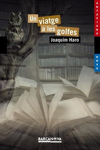 UN VIATGE A LES GOLFES | 9788448938598 | HARO,JOAQUIM