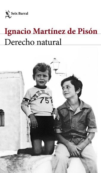 DERECHO NATURAL | 9788432232220 |  MARTÍNEZ DE PISÓN,IGNACIO