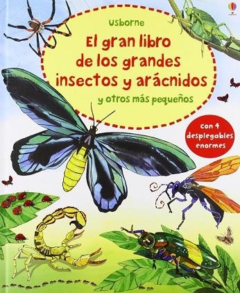 EL GRAN LIBRO DE LOS GRANDES INSECTOS Y ARACNIDOS Y OTROS MAS PEQUEÑOS | 9781409557890 | AAVV