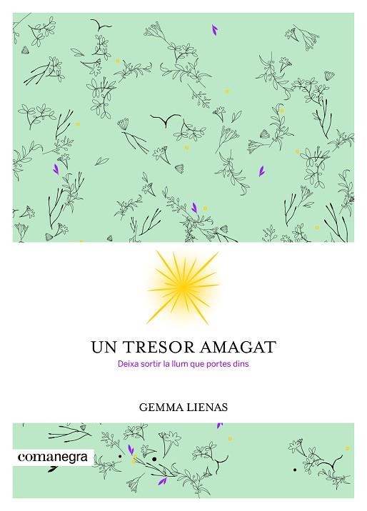 UN TRESOR AMAGAT. DEIXA SORTIR LA LLUM QUE PORTES DINS | 9788416605347 | LIENES,GEMMA