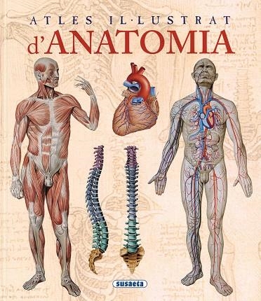 ATLES IL-LUSTRAT D,ANATOMIA | 9788467702101 | RIGUTTI, ADRIANA