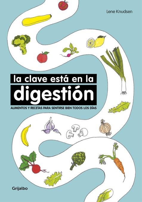 CLAVE ESTA EN LA DIGESTION | 9788416449767 | KNUDSEN,LENE