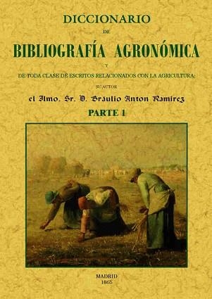 DICCIONARIO DE BIBLIOGRAFIA AGRONOMICA Y TODA CLASE DE ESCRITOS RELACIONADOS CONLA AGRICULTURA | 9788490014820 | ANTON RAMIREZ,BRAULIO