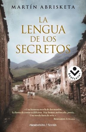 LENGUA DE LOS SECRETOS | 9788416240265 | ABRISKETA,MARTIN