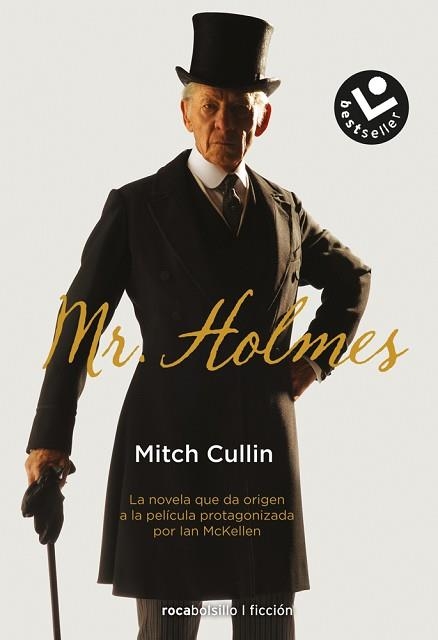 MR. HOLMES | 9788416240258 | CULLIN,MITCH