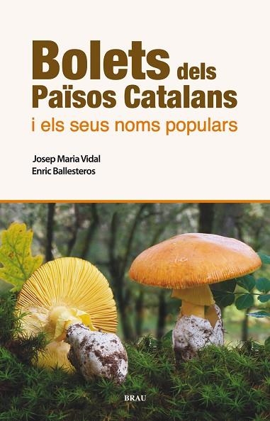 BOLETS DELS PAISOS CATALANS I ELS SEUS NOMS POPULARS | 9788496905986 | VIDAL,JOSEP MARIA BALLESTEROS,ENRIC