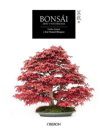 BONSAI | 9788441537118 | LAZARO,CARLOS