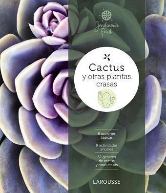 CACTUS Y OTRAS PLANTAS CRASAS | 9788416641857 | FONT BARVIS,JORDI