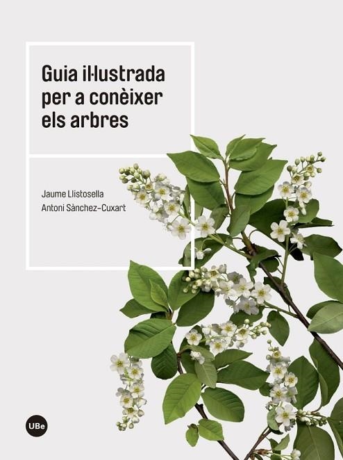 GUIA IL.LUSTRADA PER A CONEIXER ELS ARBRES | 9788447542444 | LLISTOSELLA,JAUME SANCHEZ-CUXART,ANTONI