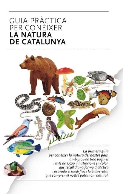 GUIA PRACTICA PER CONEIXER LA NATURA DE CATALUNYA | 9788493662141 | VAZQUEZ MENDIETA,JOAN