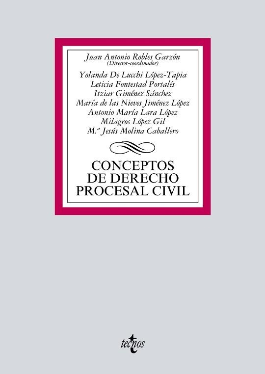 CONCEPTOS DE DERECHO PROCESAL CIVIL | 9788430971589 | ROBLES GARZÓN, JUAN ANTONIO/LUCCHI LÓPEZ-TAPIA, YOLANDA DE/FONTESTAD PORTALÉS, LETICIA/GIMÉNEZ SÁNCH