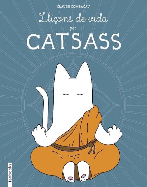 LLIÇONS DE VIDA PER CATSASS | 9788416297948 | COMBACAU,CLAUDE