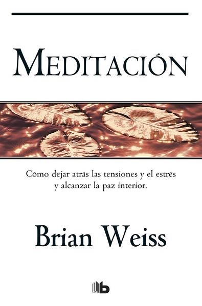 MEDITACION | 9788498727050 | WEISS,BRIAN