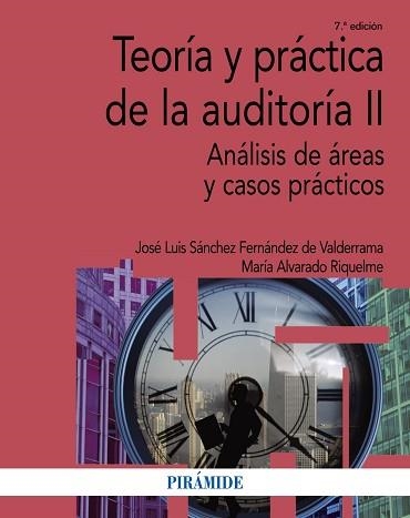 TEORÍA Y PRÁCTICA DE LA AUDITORÍA 2. ANÁLISIS DE ÁREAS Y CASOS PRÁCTICOS | 9788436838244 | SáNCHEZ FERNáNDEZ DE VALDERRAMA, JOSé LUIS/ALVARADO RIQUELME, MARíA