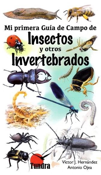 MI PRIMERA GUIA DE CAMPO DE INSECTOS Y OTROS INVERTEBRADOS | 9788416702435 | HERNANDEZ,VICTOR J. / VICTOR OJEA