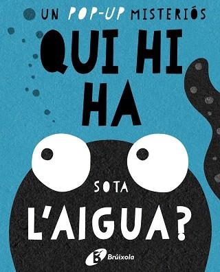 QUI HI HA SOTA L ' AIGUA? | 9788499067667