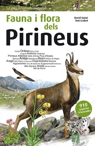 FAUNA I FLORA DELS PIRINEUS. ORDESA,ANDORRA,PICA D,ESTATS,ARIEJA,BEARN.ANETO,ORGANBIDEXKA | 9788415885559 | GUIXE,DAVID/LLOBET,TONI