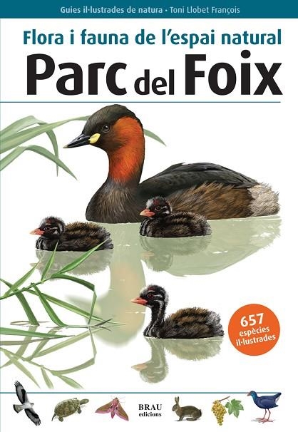 PARC DEL FOIX. FLORA I FAUNA DE L.ESPAI NATURAL | 9788496905580 | LLOBET FRANÇOIS,TONI